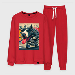 Костюм хлопковый мужской Бультерьер управляет мотоциклом - граффити, цвет: красный