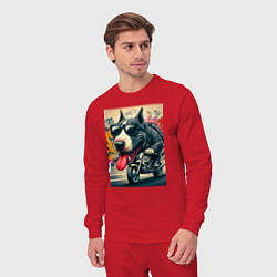 Костюм хлопковый мужской Бультерьер управляет мотоциклом - граффити, цвет: красный — фото 2