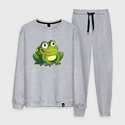 Костюм хлопковый мужской Смешная жаба, цвет: меланж