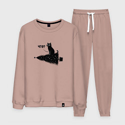 Костюм хлопковый мужской Котик уронил елку, цвет: пыльно-розовый