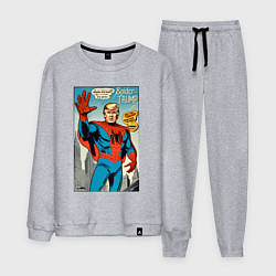 Костюм хлопковый мужской Spider-Trump - retro, цвет: меланж