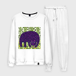 Костюм хлопковый мужской Медведь в березовом лесу, цвет: белый