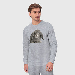 Костюм хлопковый мужской Серый пушистый кролик, цвет: меланж — фото 2