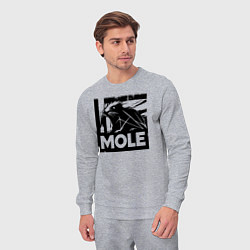 Костюм хлопковый мужской Крот в стиле граффити, цвет: меланж — фото 2