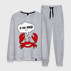 Костюм хлопковый мужской Я на мид, цвет: меланж