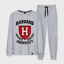 Костюм хлопковый мужской Harvard University, цвет: меланж