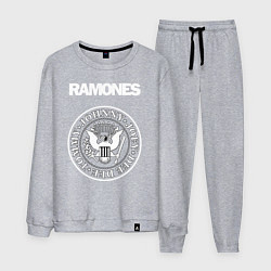 Костюм хлопковый мужской Ramones, цвет: меланж