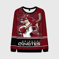 Свитшот мужской Arizona Coyotes, цвет: 3D-черный