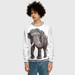 Свитшот мужской Большой слон, цвет: 3D-меланж — фото 2