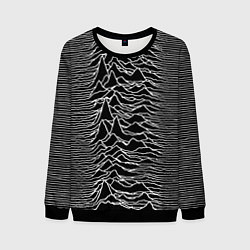 Мужской свитшот Joy Division: Unknown Pleasures