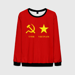 Свитшот мужской СССР и Вьетнам, цвет: 3D-черный