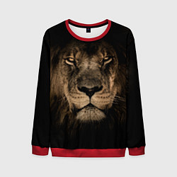 Свитшот мужской Львиный взгляд, цвет: 3D-красный