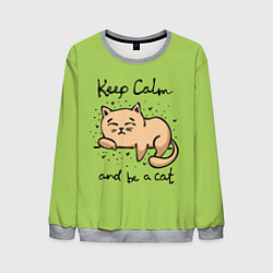 Мужской свитшот Keep Calm and be a cat