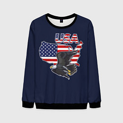 Свитшот мужской USA - flag and eagle, цвет: 3D-черный