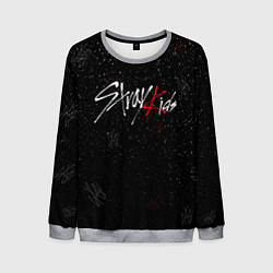 Свитшот мужской STRAY KIDS, цвет: 3D-меланж