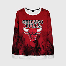 Мужской свитшот CHICAGO BULLS