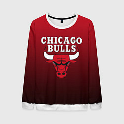 Мужской свитшот CHICAGO BULLS