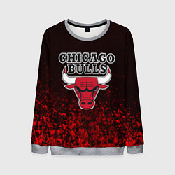 Мужской свитшот CHICAGO BULLS