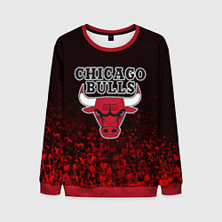 Мужской свитшот CHICAGO BULLS