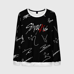 Свитшот мужской STRAY KIDS, цвет: 3D-белый