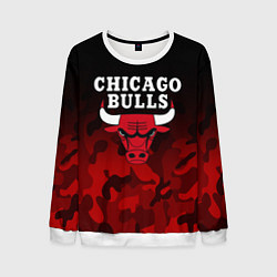 Свитшот мужской CHICAGO BULLS, цвет: 3D-белый