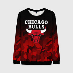 Мужской свитшот CHICAGO BULLS