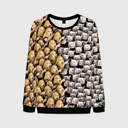 Свитшот мужской Девушки орут на котиков, цвет: 3D-черный