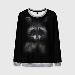 Свитшот мужской Енот, цвет: 3D-меланж