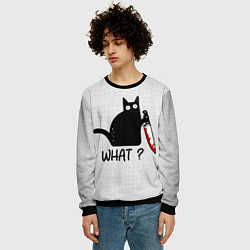 Свитшот мужской What cat, цвет: 3D-черный — фото 2