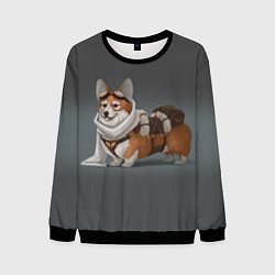 Свитшот мужской КОРГИ ПИЛОТ, цвет: 3D-черный
