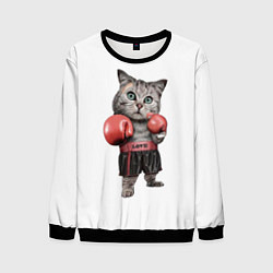 Мужской свитшот Кот боксёр
