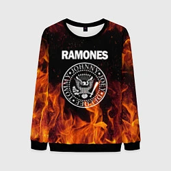 Свитшот мужской Ramones, цвет: 3D-черный