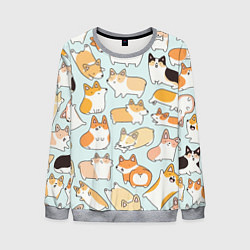 Мужской свитшот Милые корги