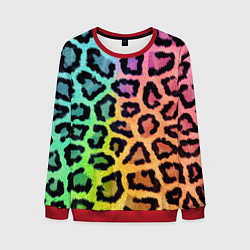 Мужской свитшот JAGUAR GRADIENT