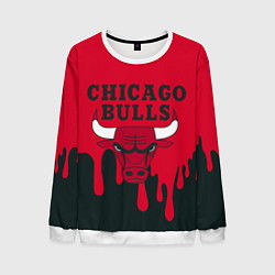 Мужской свитшот Chicago Bulls