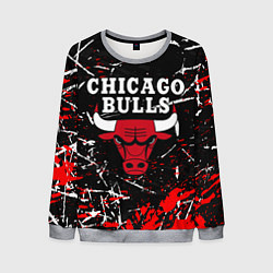 Мужской свитшот CHICAGO BULLS