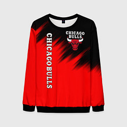 Мужской свитшот CHICAGO BULLS
