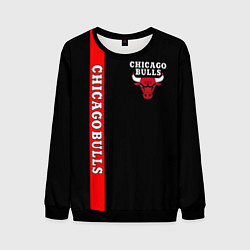 Мужской свитшот CHICAGO BULLS
