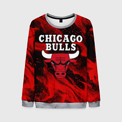 Мужской свитшот CHICAGO BULLS