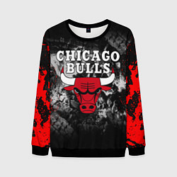 Мужской свитшот CHICAGO BULLS