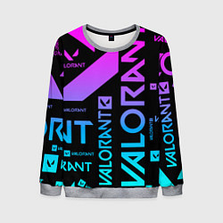 Мужской свитшот Valorant