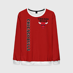 Мужской свитшот CHICAGO BULLS