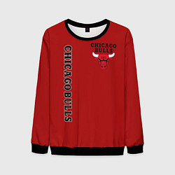 Мужской свитшот CHICAGO BULLS