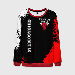 Мужской свитшот CHICAGO BULLS