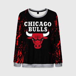 Мужской свитшот CHICAGO BULLS