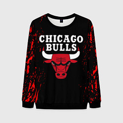 Мужской свитшот CHICAGO BULLS