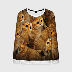 Свитшот мужской КОТЯТУШКИ, цвет: 3D-белый