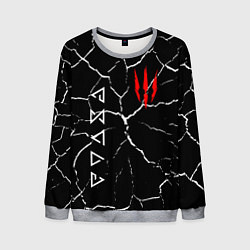 Мужской свитшот The Witcher