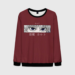 Мужской свитшот Hunter x Hunter