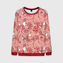 Мужской свитшот Свиньи